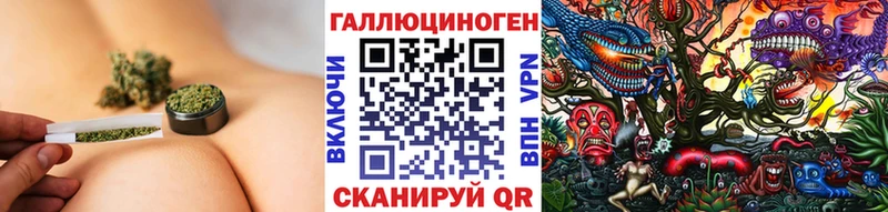 Галлюциногенные грибы мицелий Купить Кукмор
